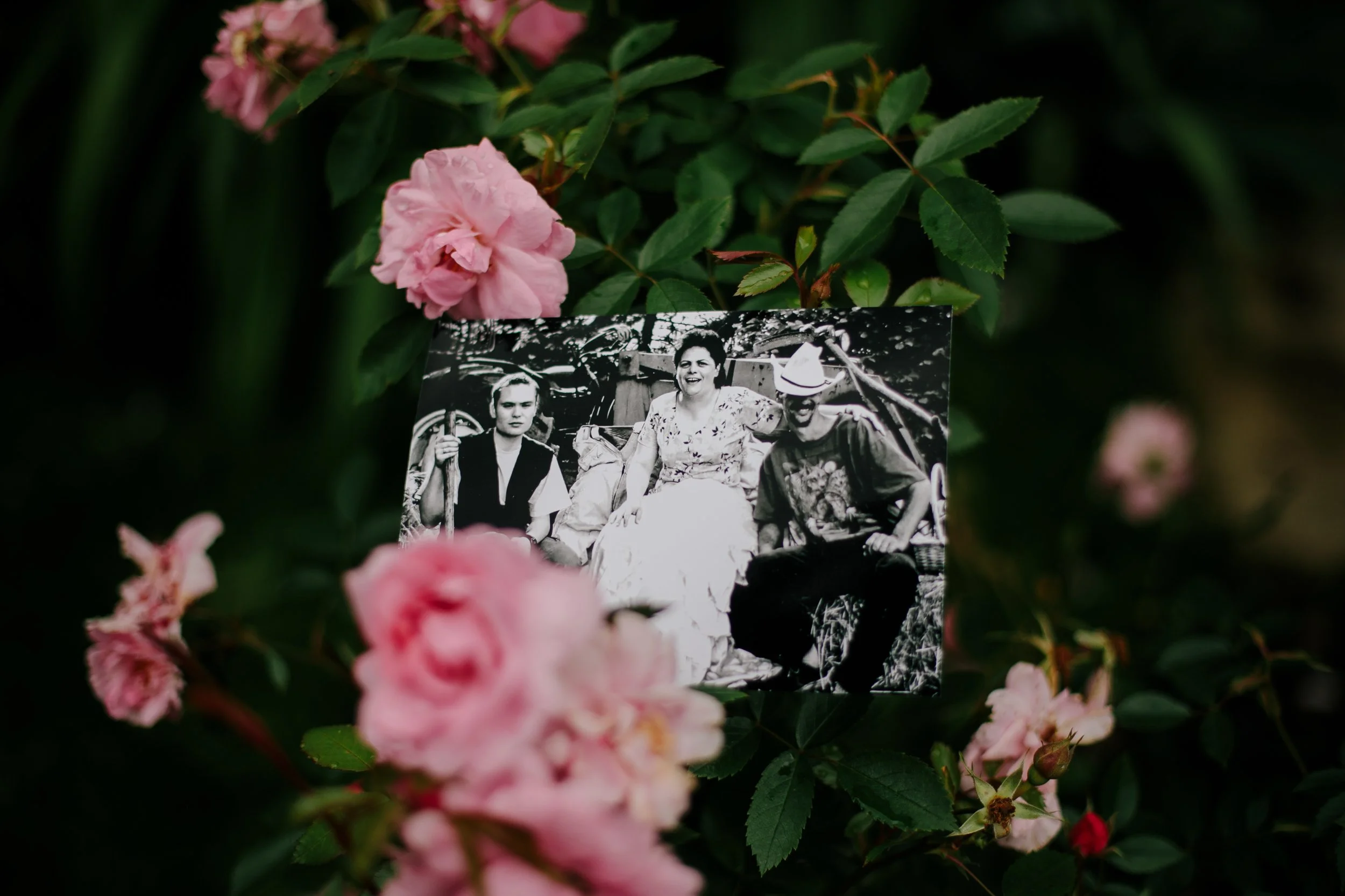 12_SarahSovereignPhotography_GriefGarden.JPG