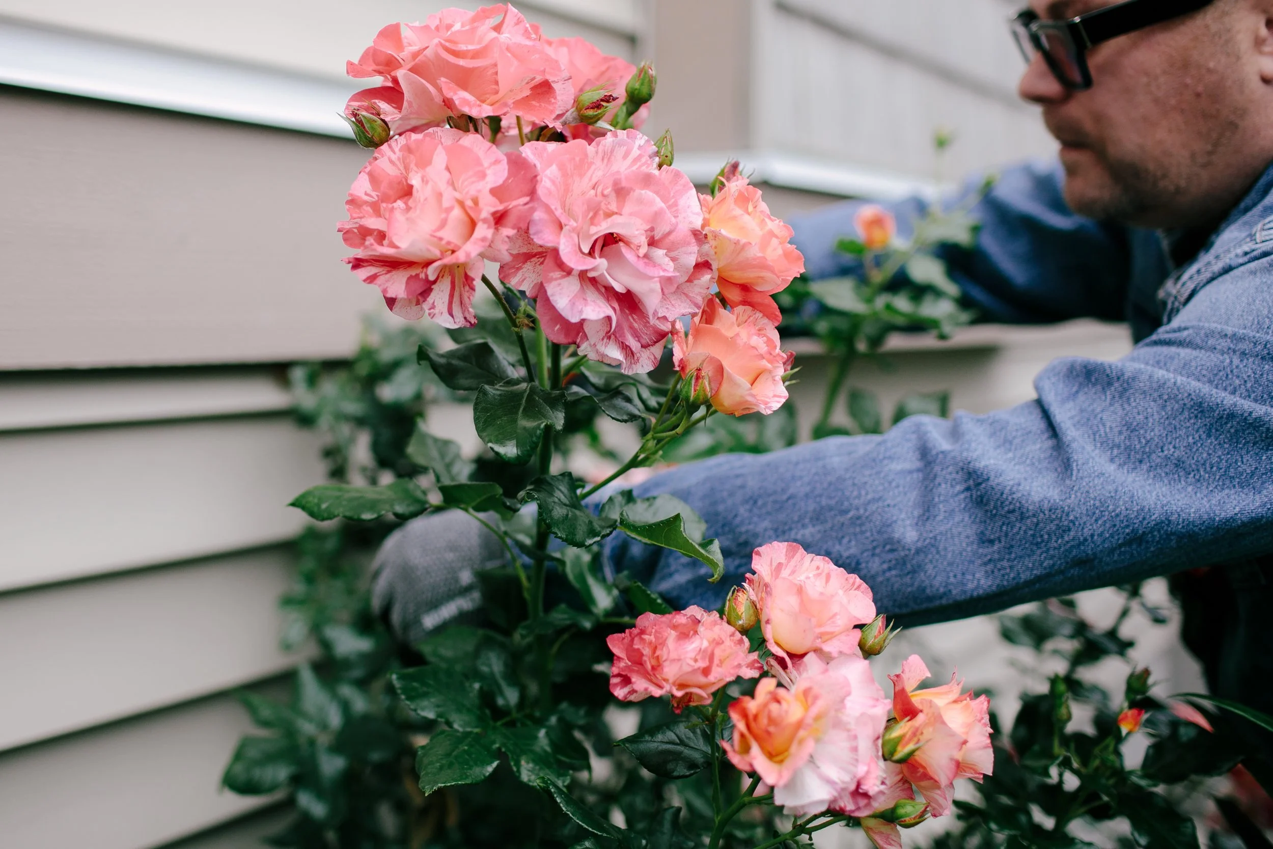 14_SarahSovereignPhotography_GriefGarden.JPG