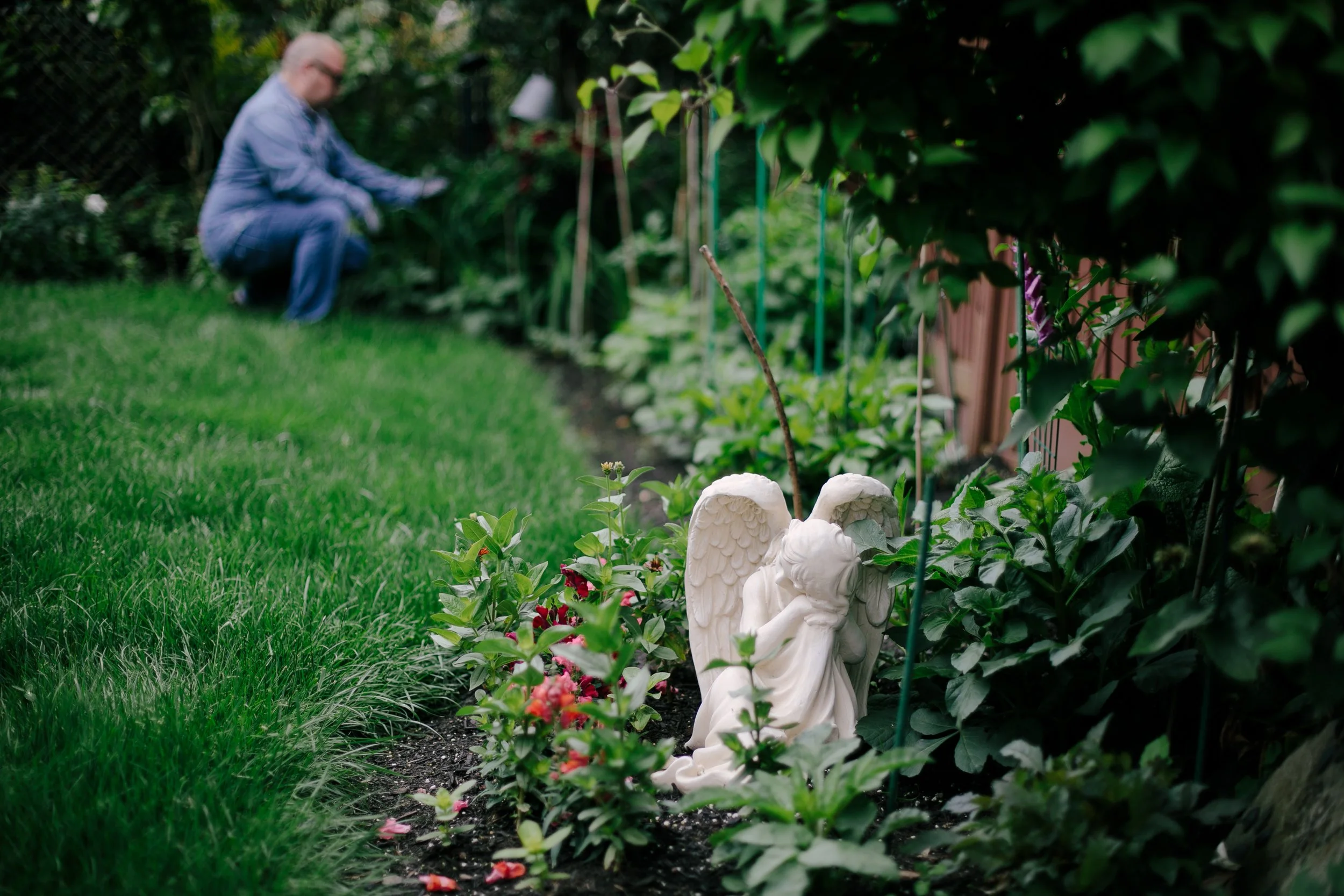 15_SarahSovereignPhotography_GriefGarden.JPG