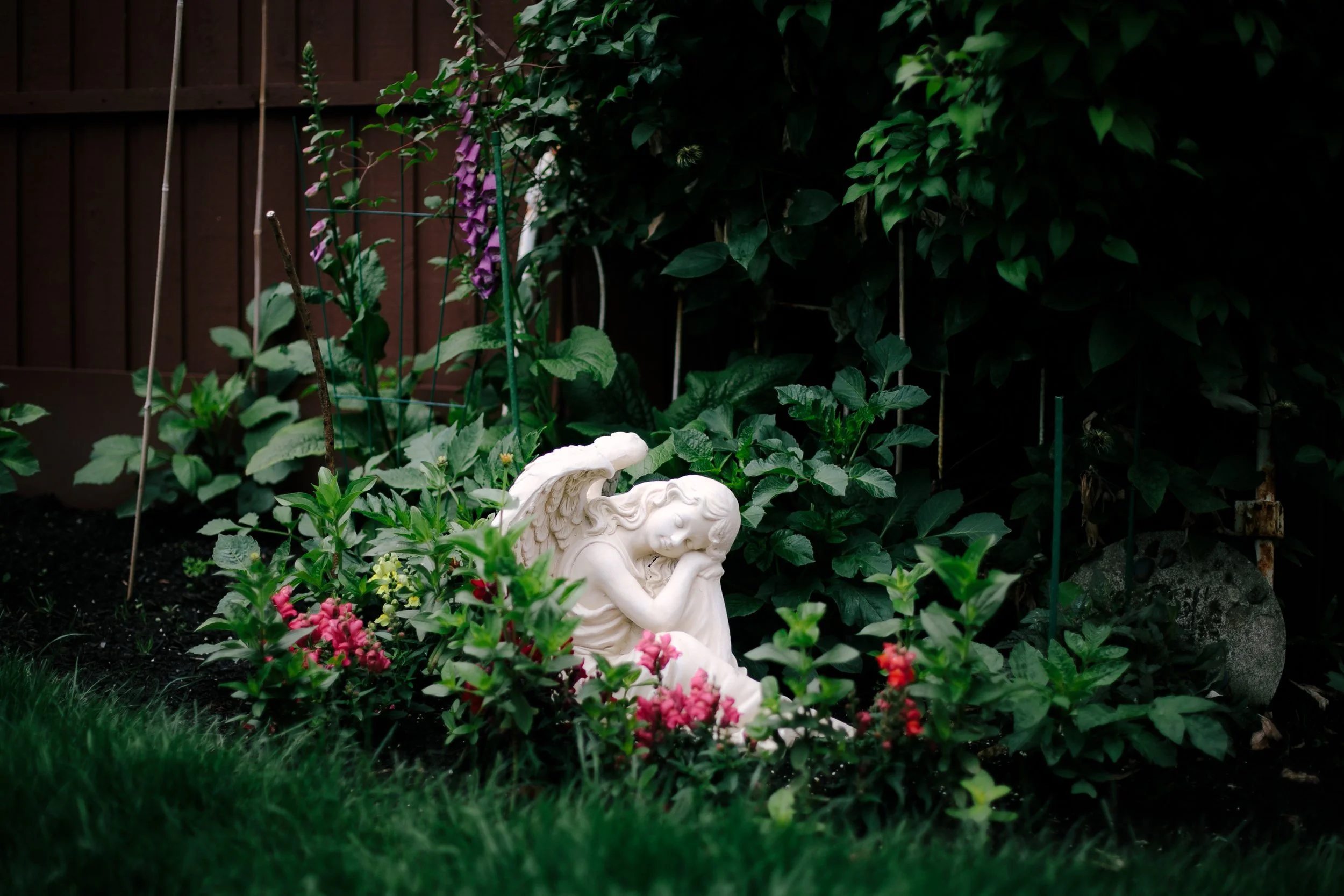 20_SarahSovereignPhotography_GriefGarden.JPG