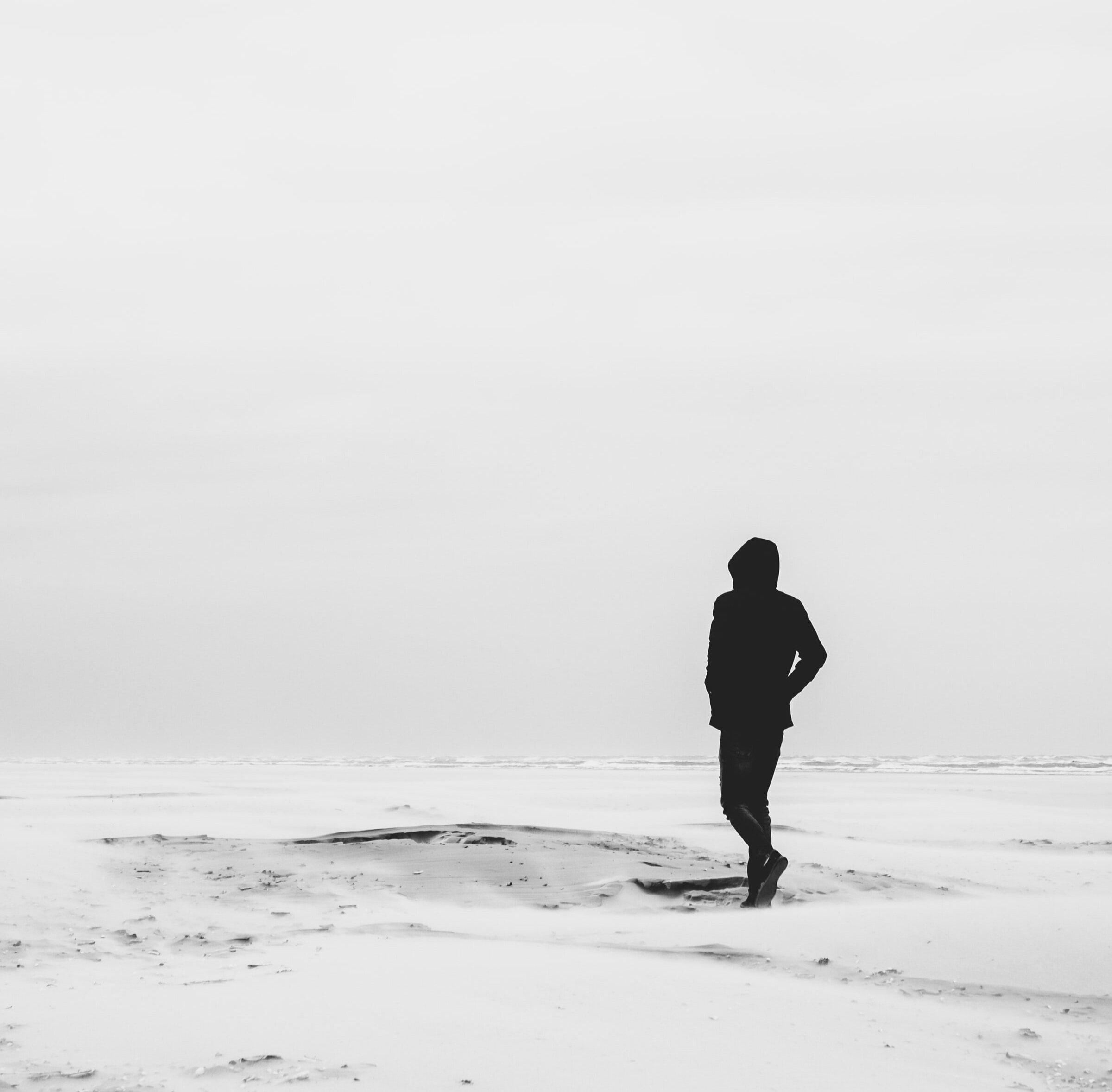 mitch-lensink-QtGqxyiZcbo-unsplash.jpg