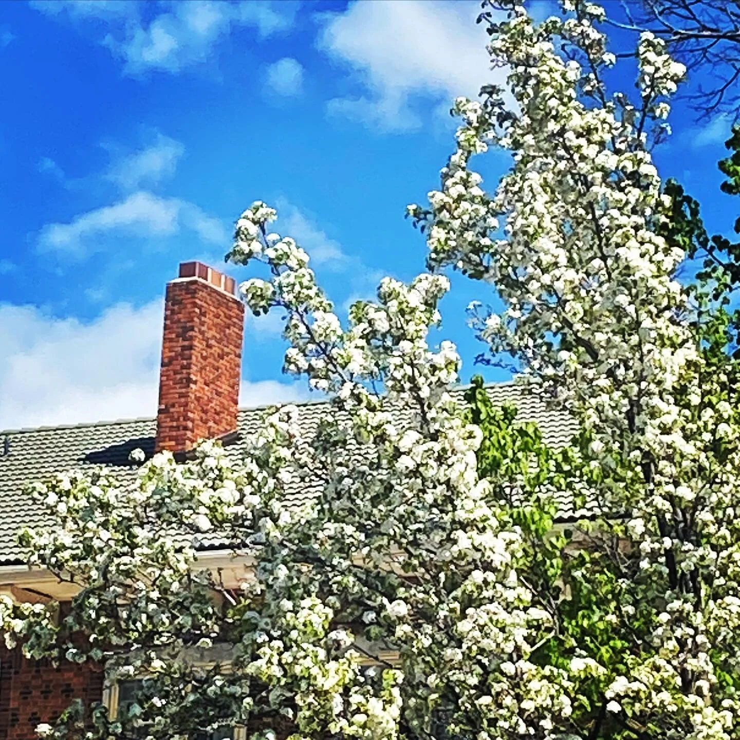 beautiful day in Zoola! had sooo much fun last night taking in the incredible @gildahousemusic and @queenager.music, two of my very faves &mdash; you guys really rocked it, thanks for a fantastic time!  feeling so fortunate to live around such wonder