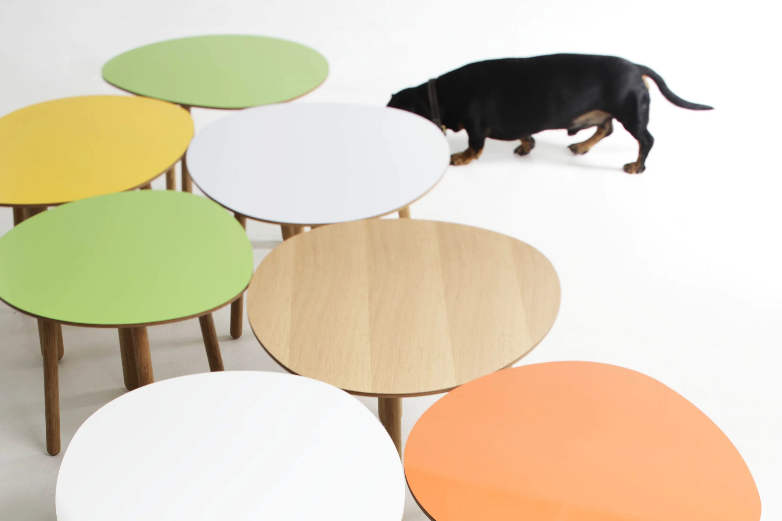 Morris coffee tables in apple green, yellow, white, oak and orange