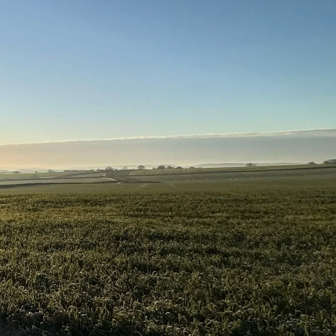 We&rsquo;re back in the office today after a lovely Christmas and New Year break surrounded by family and friends.

The morning sun has treated our little office in Dorset to a beautiful view as we start the new year full of enthusiasm and excitement