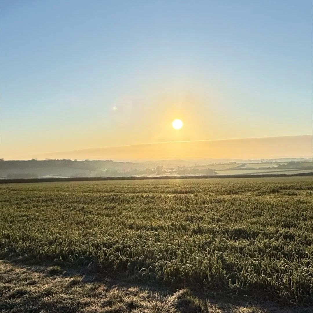 We&rsquo;re back in the office today after a lovely Christmas and New Year break surrounded by family and friends.

The morning sun has treated our little office in Dorset to a beautiful view as we start the new year full of enthusiasm and excitement