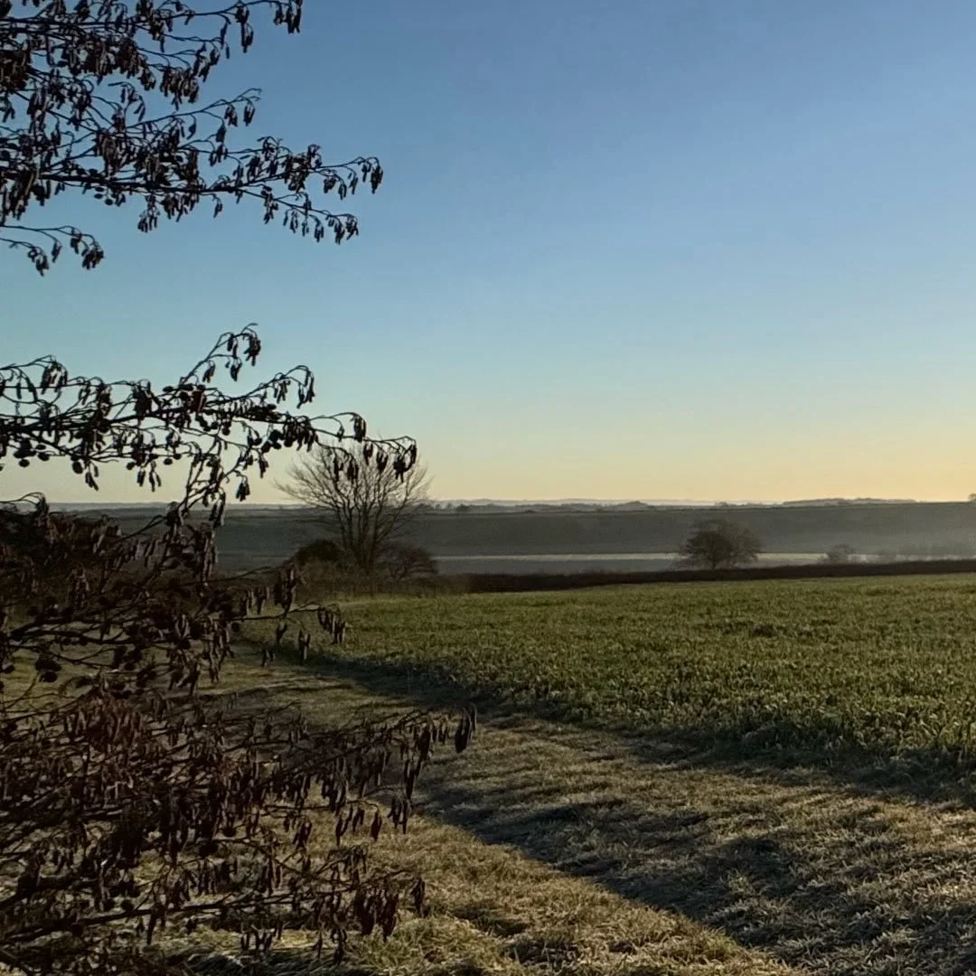 We&rsquo;re back in the office today after a lovely Christmas and New Year break surrounded by family and friends.

The morning sun has treated our little office in Dorset to a beautiful view as we start the new year full of enthusiasm and excitement