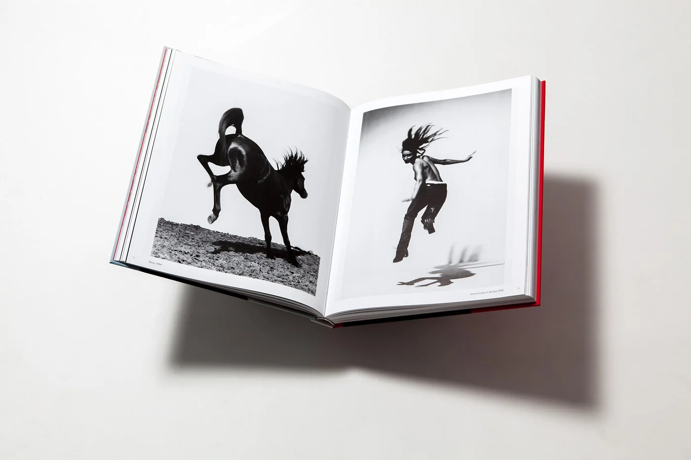 MENDO_books_carli_hermes_002.jpg