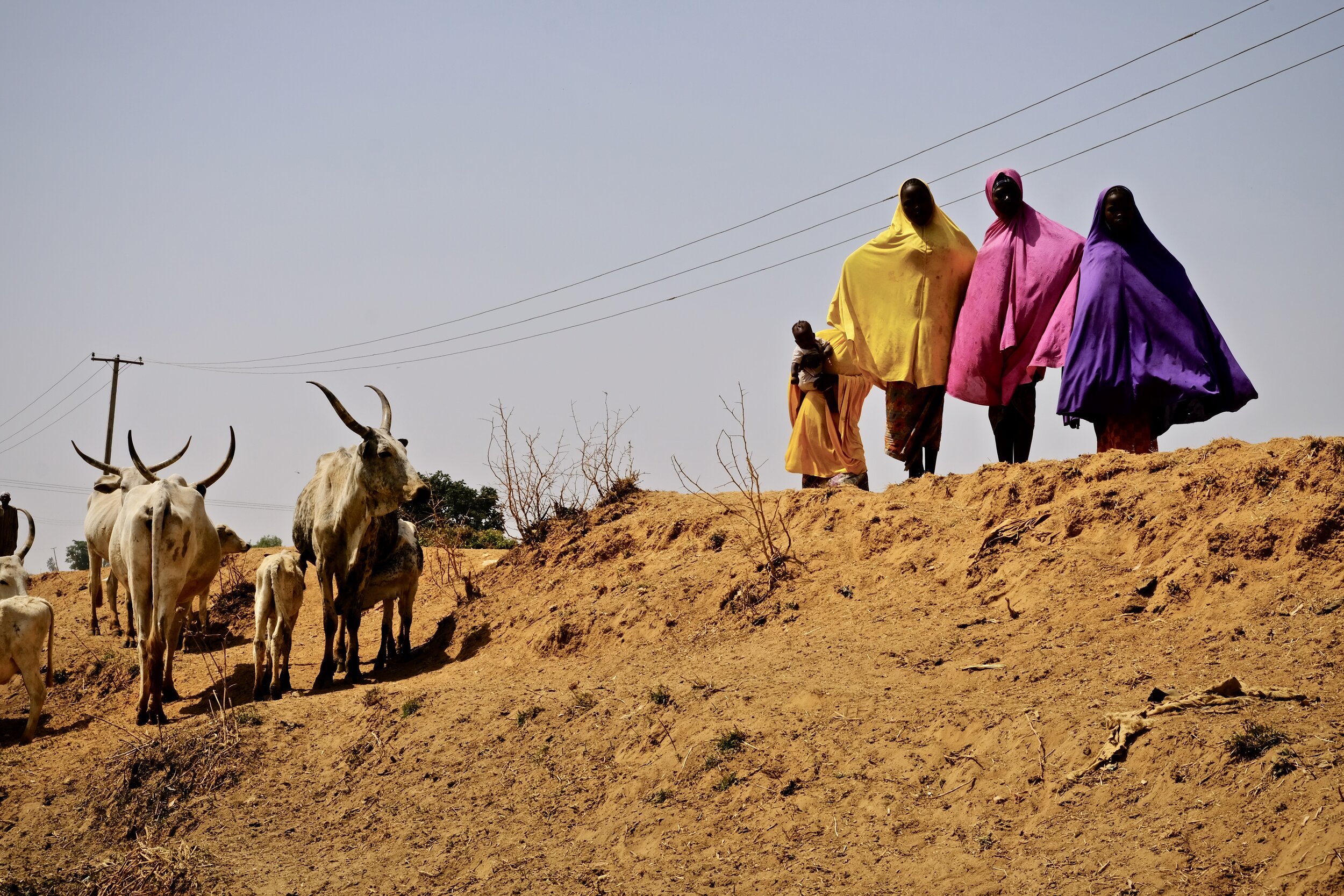 Nigeria conflict herdsmen and farmers fulani by Joost Bastmeijer 14.jpeg
