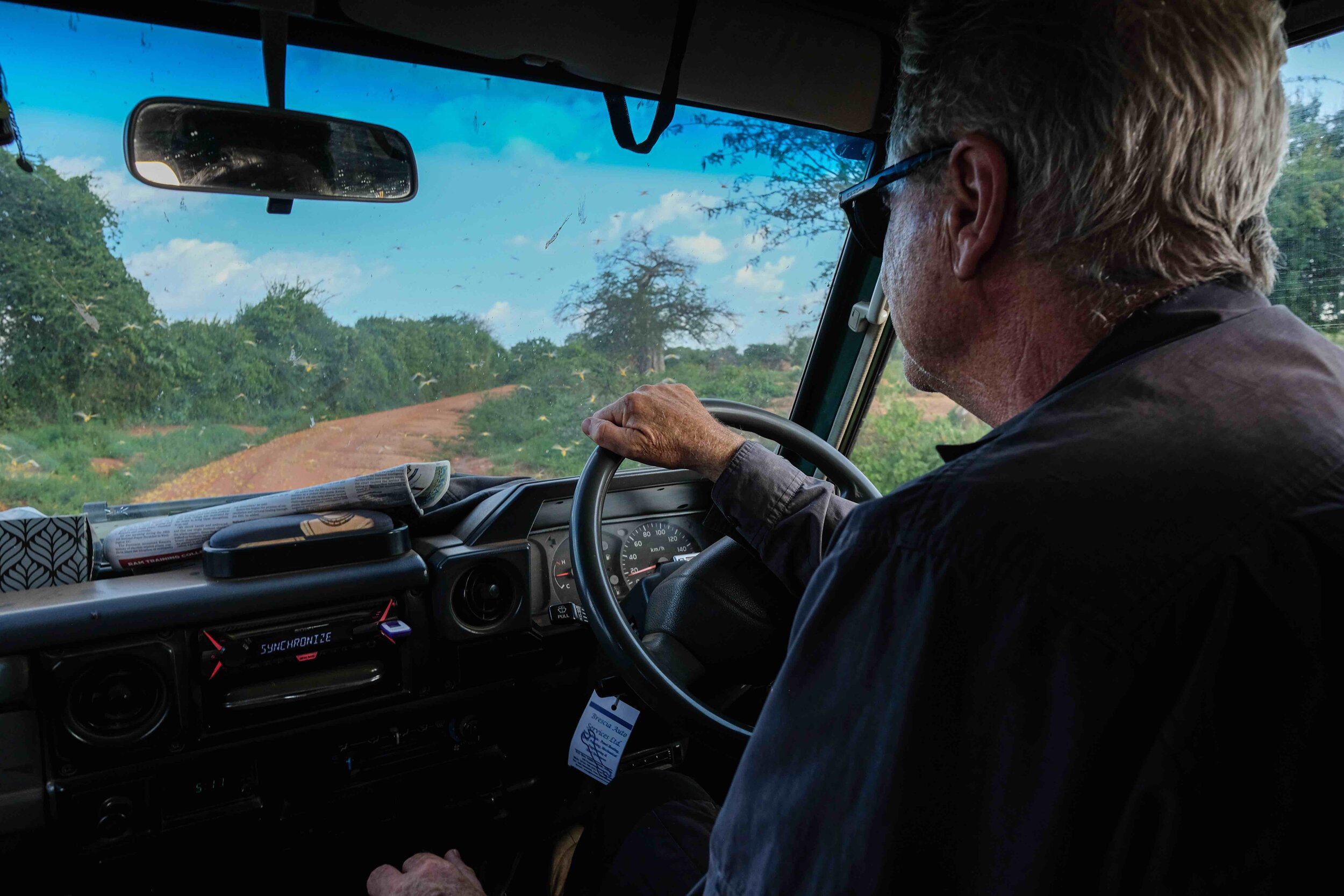 Woestijnsprinkhanen in Kenia door Joost Bastmeijer-53.jpg