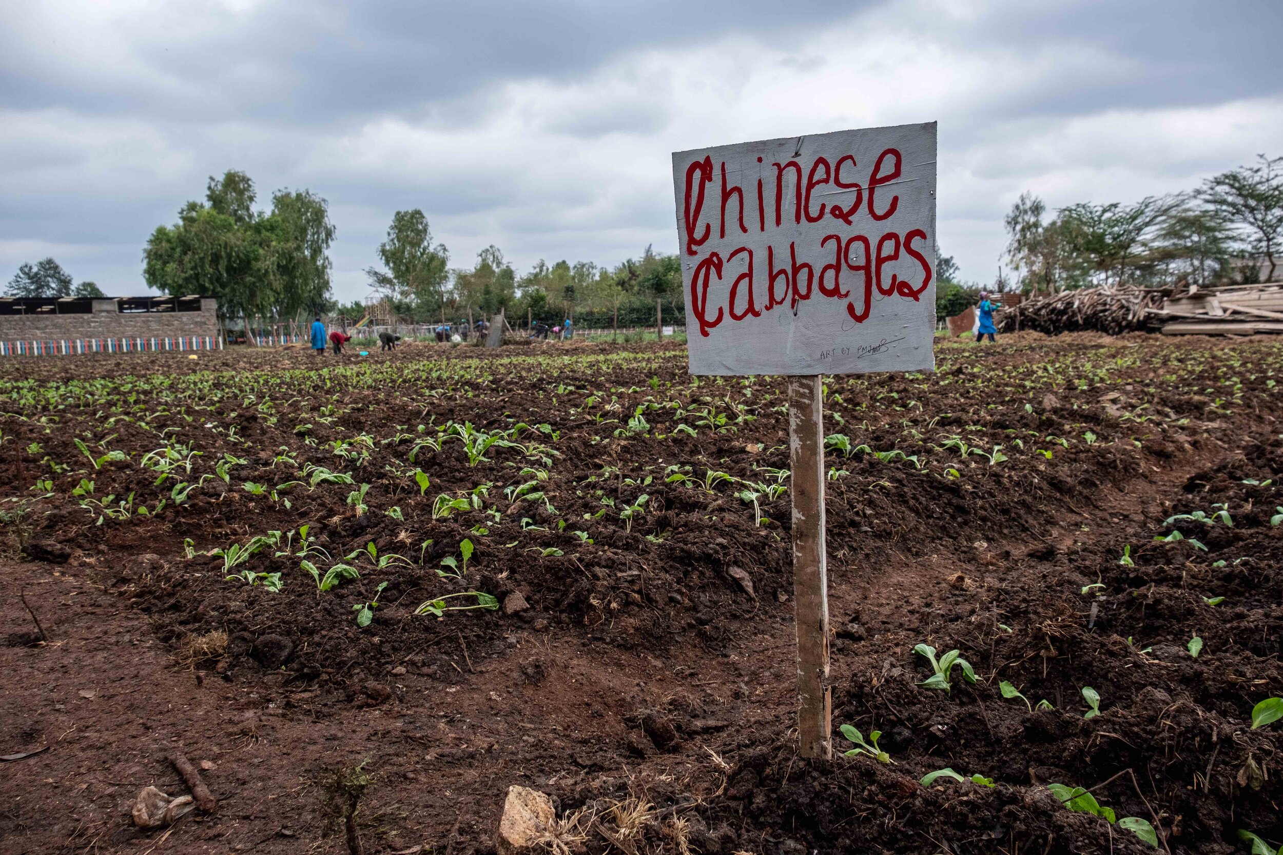 Kenyan teachers pick up farming to beat Covid unemployment | By Joost Bastmeijer-20.jpg