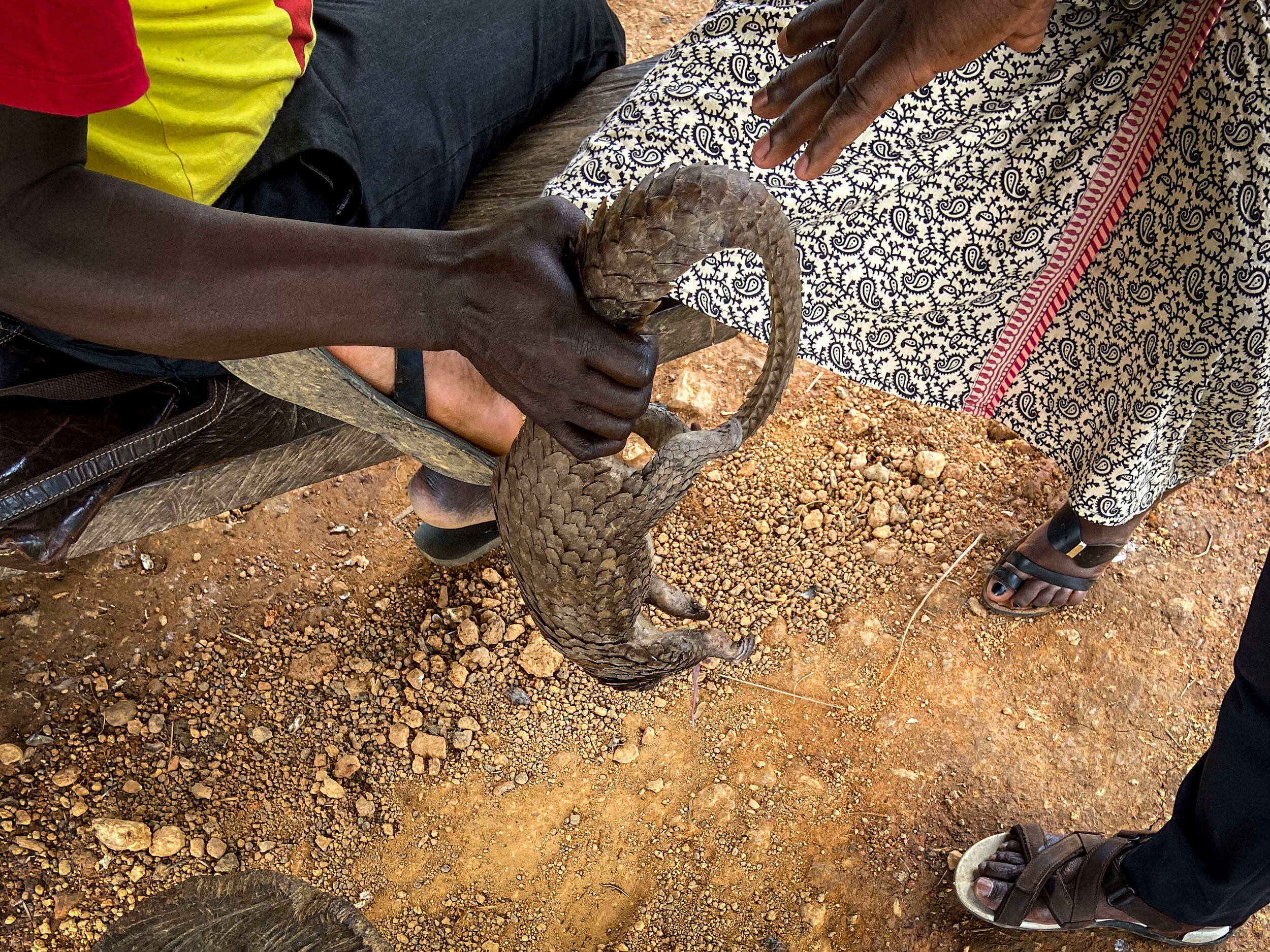 Elections Ivory Coast by Joost Bastmeijer-107.jpg