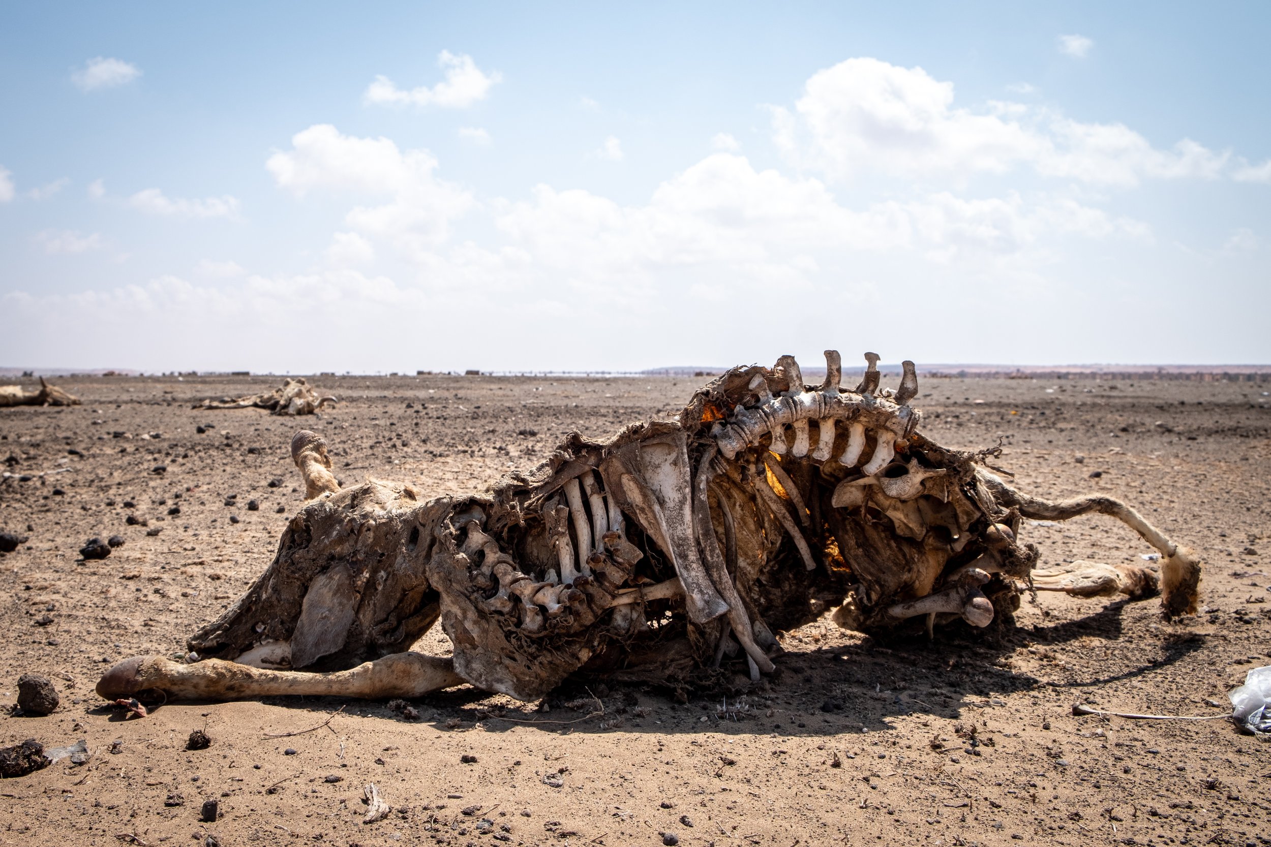 Somalia Drought Crisis - by Joost Bastmeijer-5782.jpg