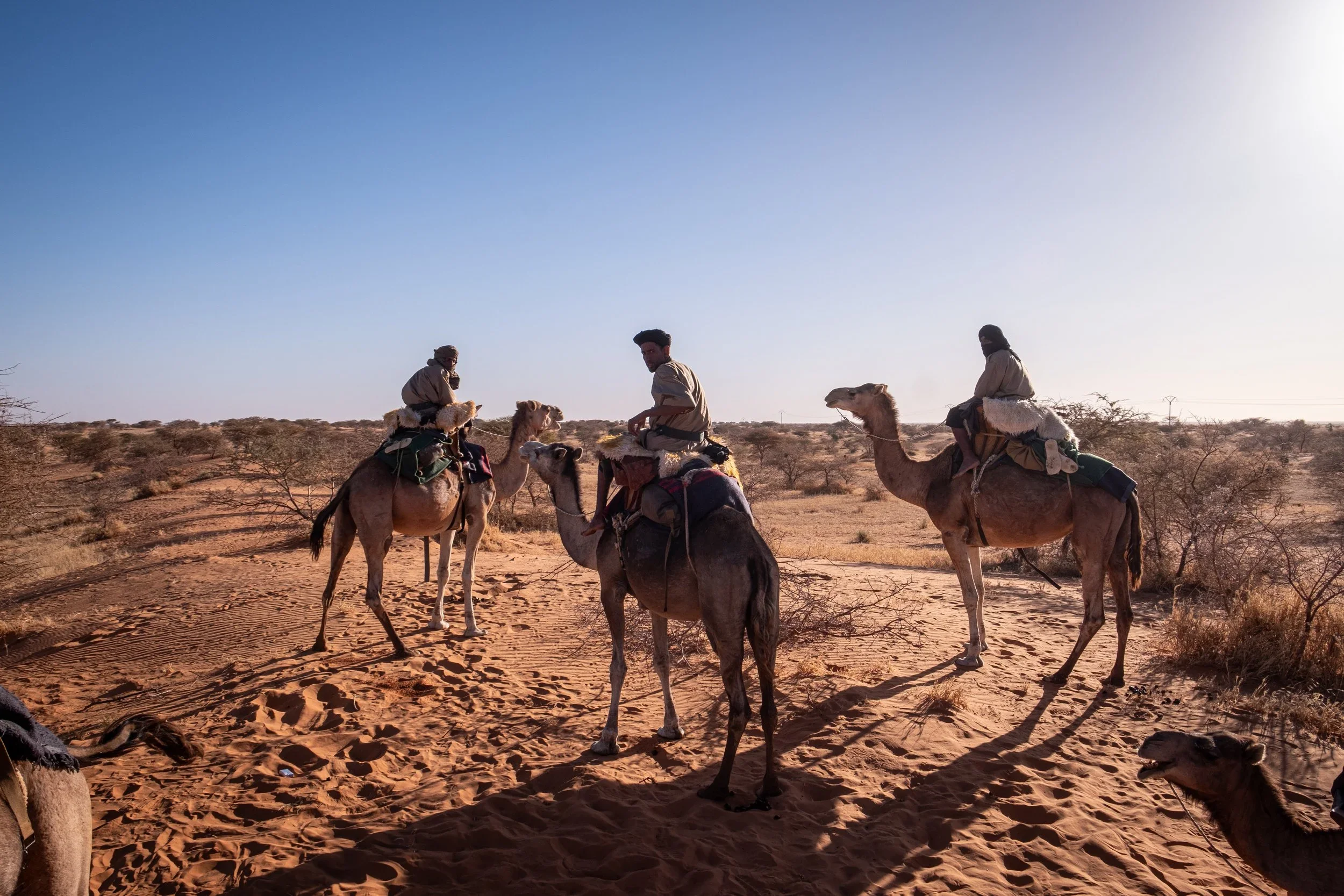 Mauritania+-+JB-2371.webp