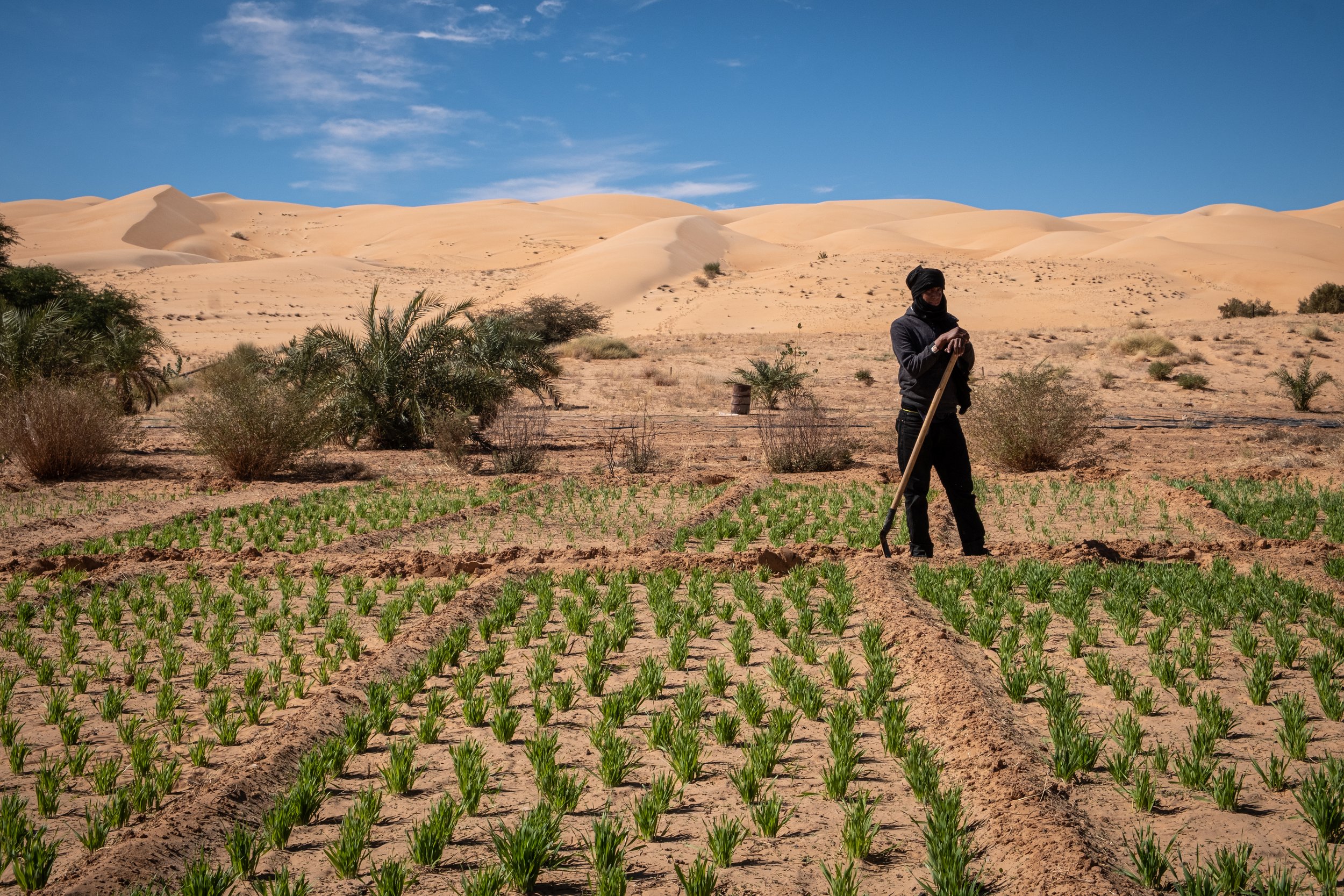 Maaden - Mauritania - JB-2753.jpg