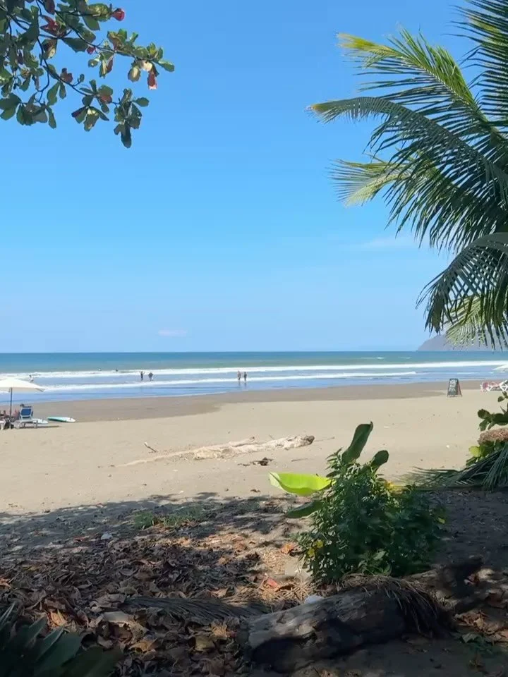 🌊🌅 PART 3

By the end of the retreat, something shifts.

The nerves people arrive with turn into confidence. The strangers you met on day one start to feel like friends you have known for years. The ideas you came hoping to learn start turning into