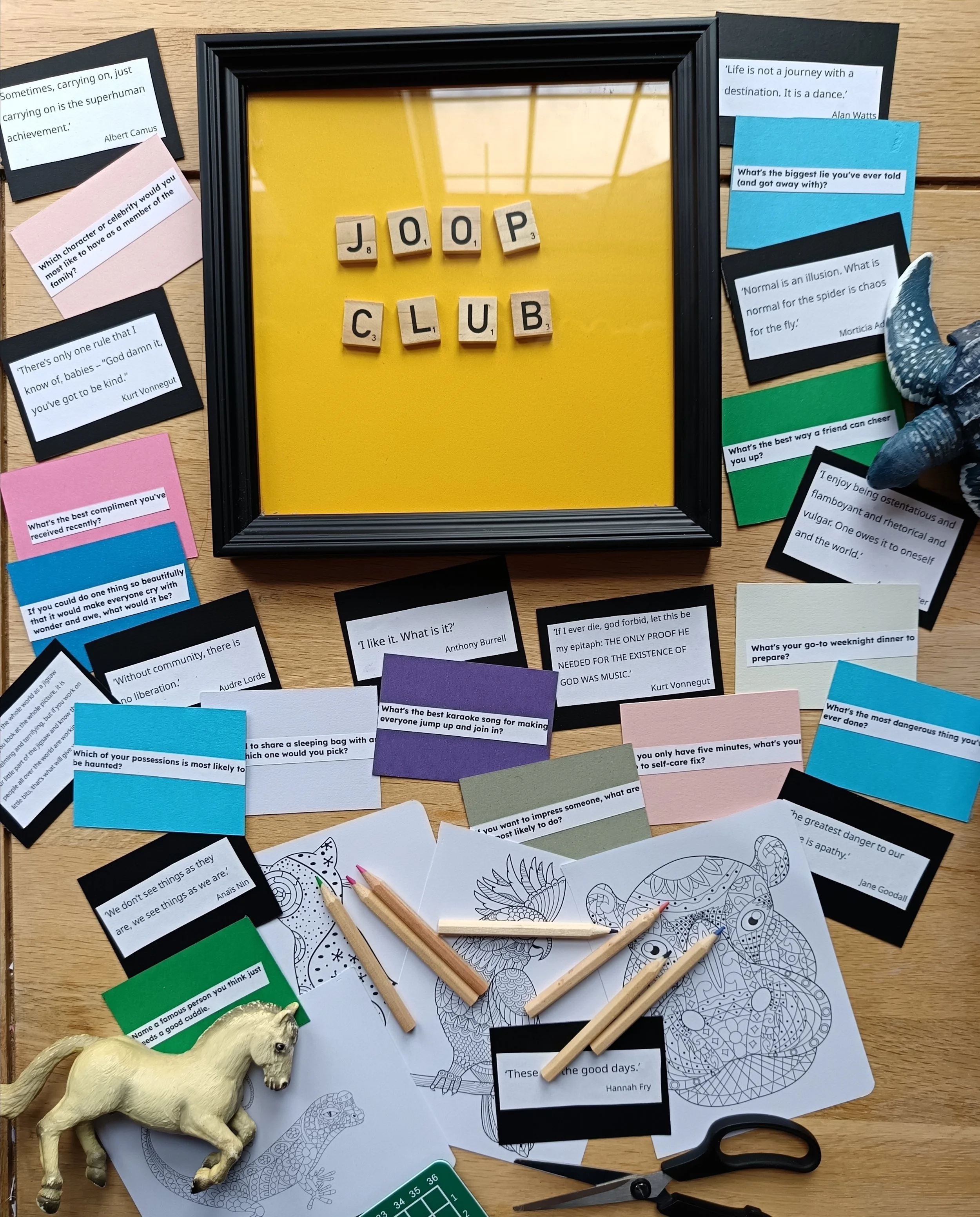 joop box contents.jpg