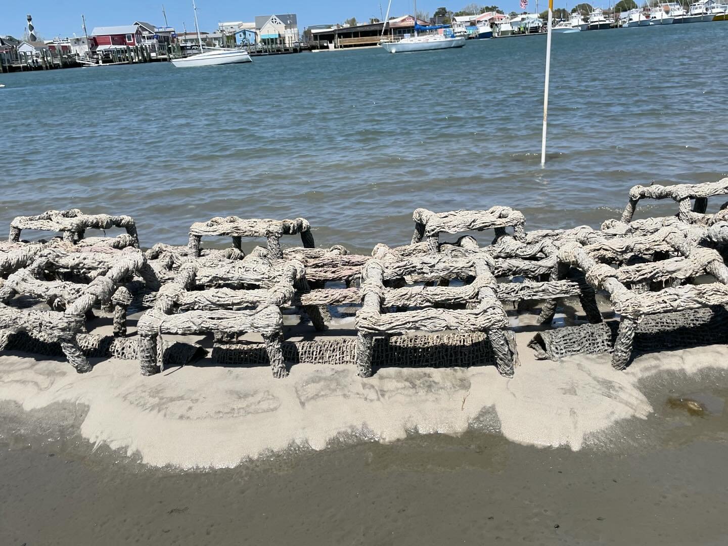 We are enjoying seeing our Oyster Catcher Substrate doing its job out on Sugarloaf! There is sand building up behind the Oyster Catcher Tables and Pillows, shells getting caught, and new marsh grass growing! #livingshorelines #oystercatchersubstrate 