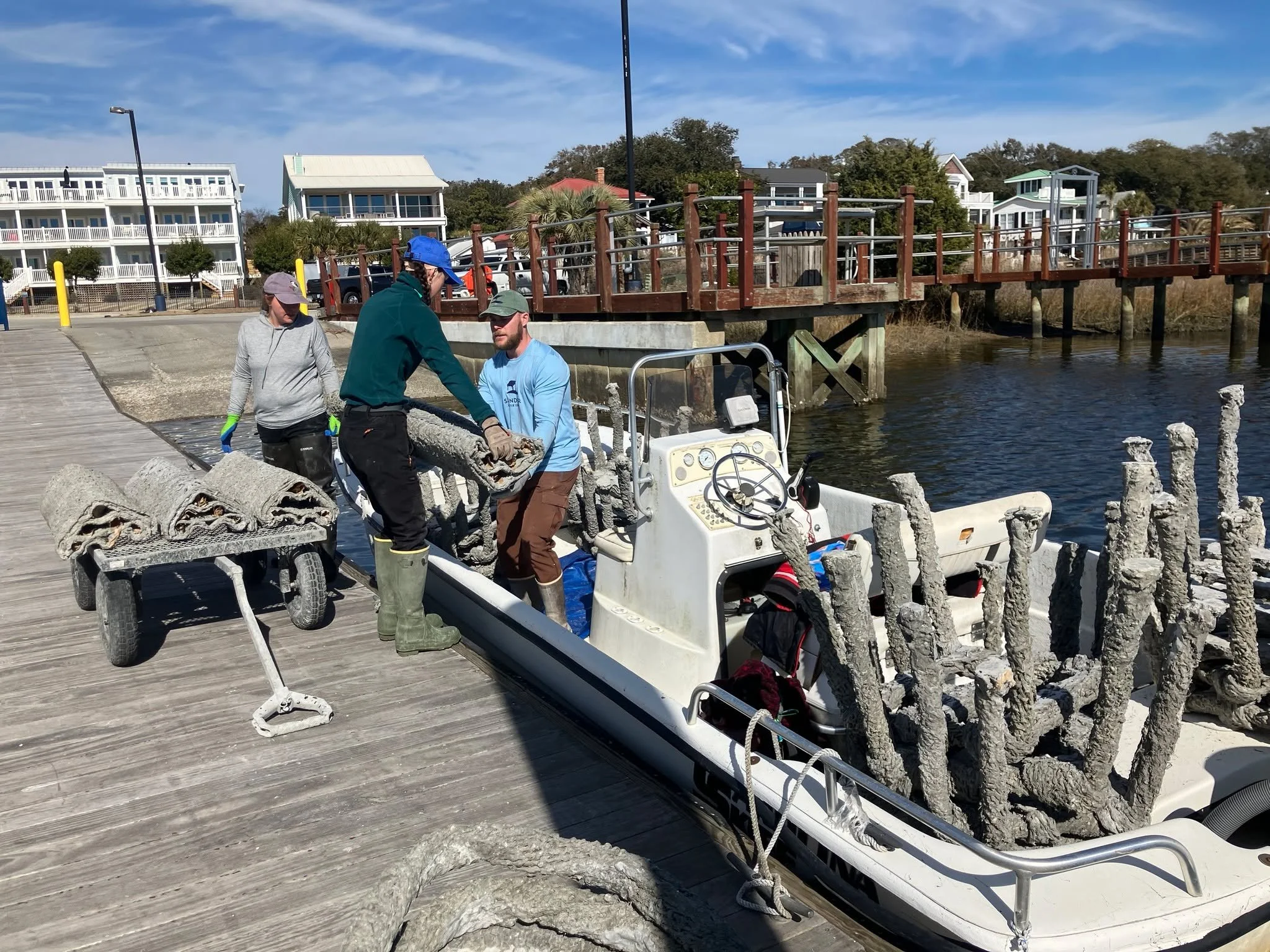 Battery Island, like other islands on the Cape Fear River, is a vital nesting area for native birds and other important species. These islands are slowly being eroded due to commercial shipping, storms, and other natural events. 

That's why SANDBAR 