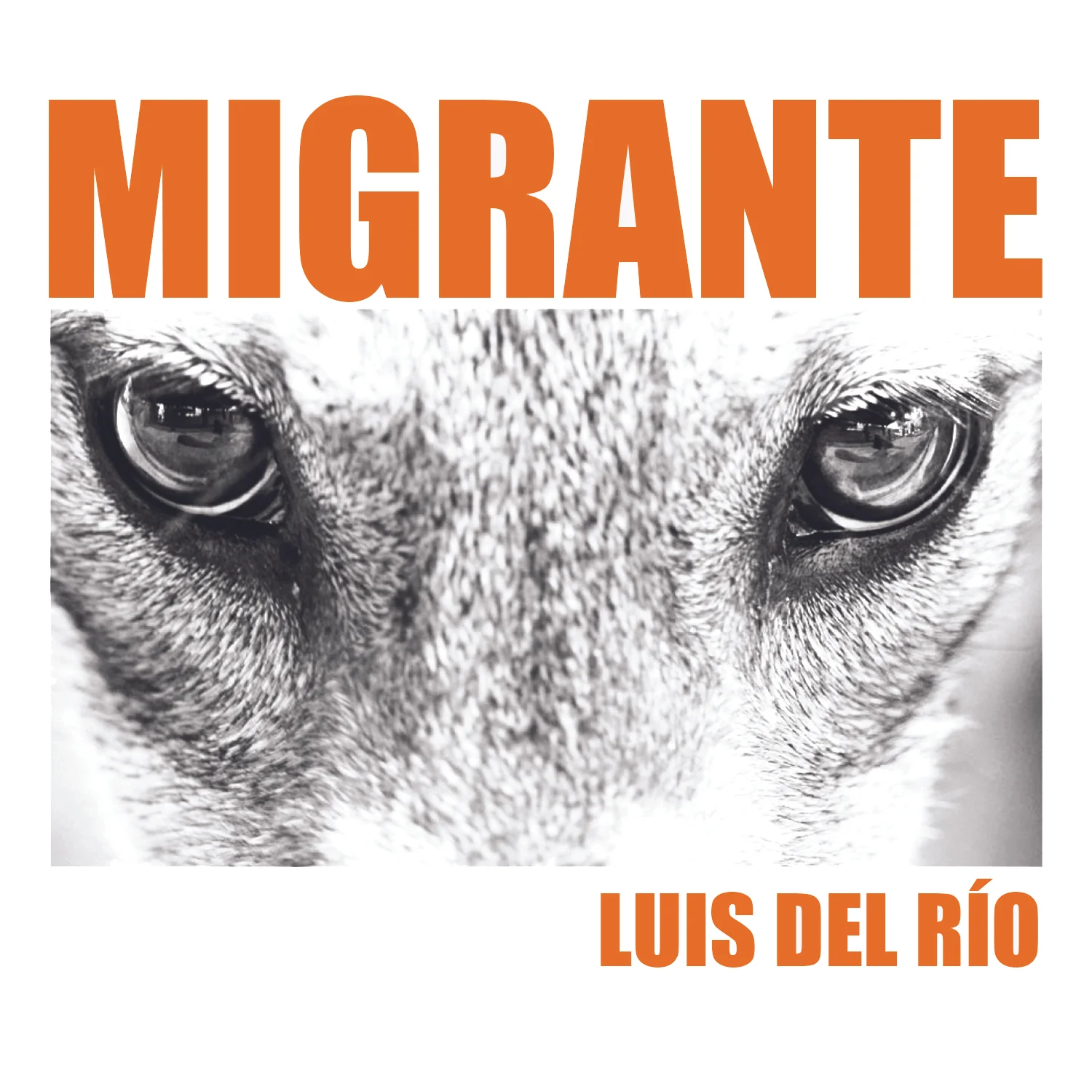 migrante cover final.jpg