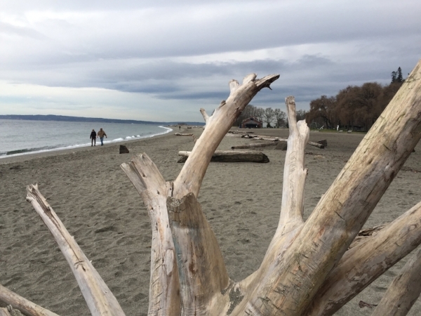 There's no place like home. A perfect winter day at Golden Gardens park in Seattle.