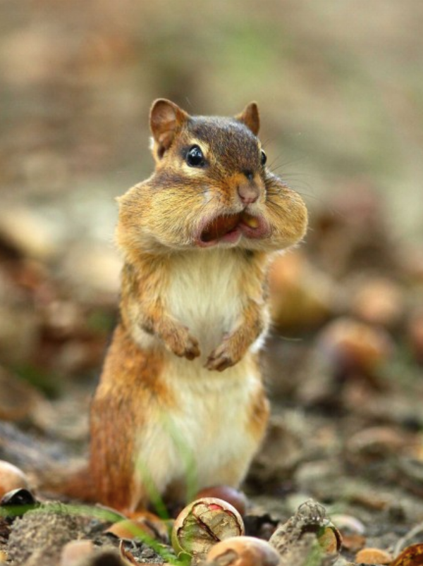 Maybe I pack too many snacks!
