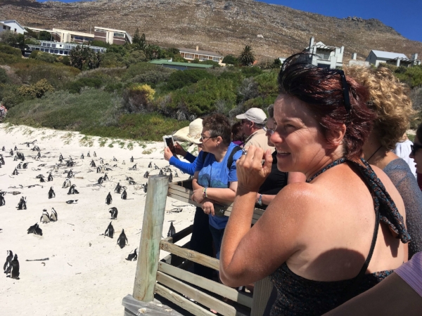 Our new friend Judy and about 1,000 penguins, matched by an equal number of tourists.