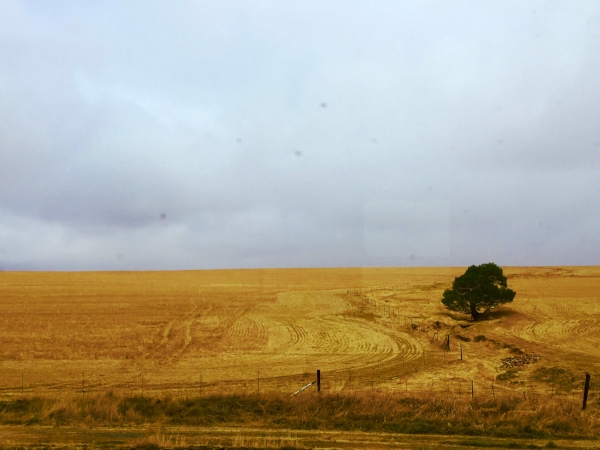The scenery ranged from open wheat fields to vineyards and craggy mountainsides to sprawling townships.