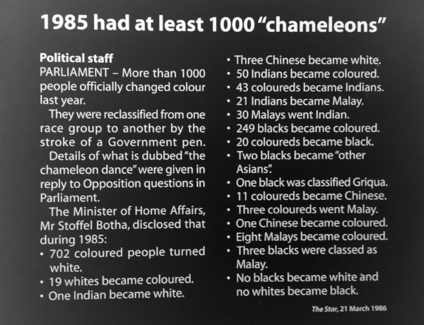 Just one of a thousand incomprehensible facts we learned at the museum.