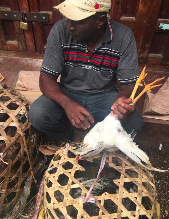 It was far better to buy a fresh bird than one from the pile in a plastic tub. Sorry chicken.