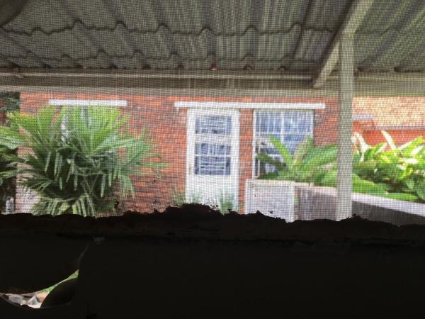The view from the loo! Looking back at our front door from inside the separate WC.