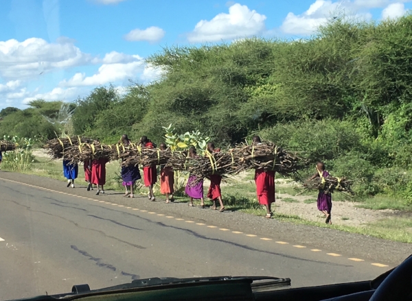 We saw many Maasai people during our twelve days in Tanzania. Often we'd see women and children carrying firewood or water along the side of the road while the men and boys herded cattle.
