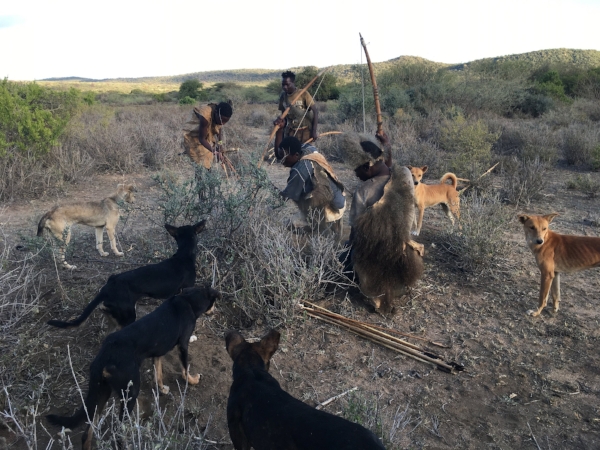 On a hunt with Hadzabe tribesmen. Eventually they rousted a marmet from it's lair and added it to the strings of birds shot down with poison arrows.
