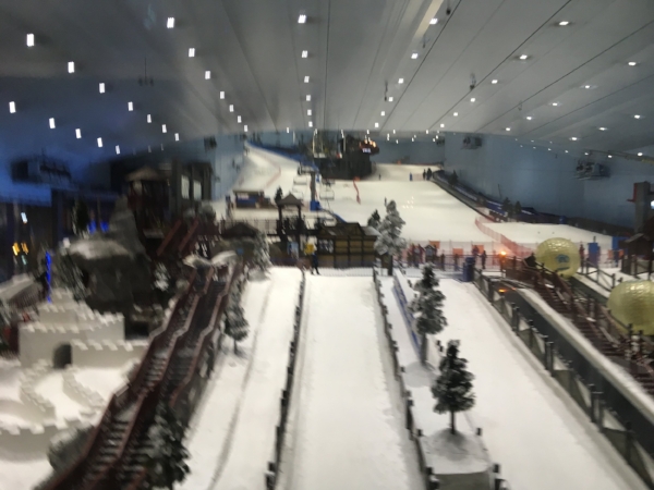 How to beat the heat? Spend the day skiing at the mall of course!
