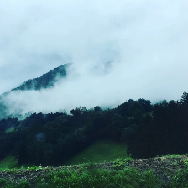 Low hanging clouds and rain obscured most of the mountain passes - but it was still beautiful.