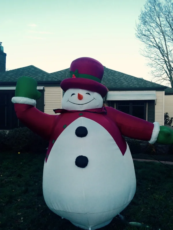 Frosty has moved on to a home where he is better appreciated.