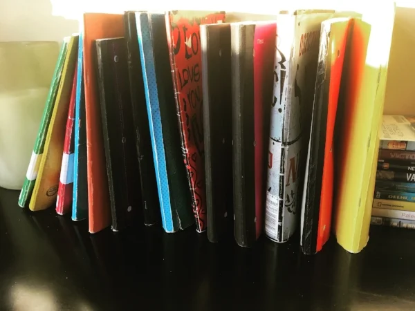 All 14 of our daily journals were together for the first time in December. Keeping track of our daily spending (including taping receipts on each page) along with our activities has turned out to be enjoyable - and the key to staying on budget. I am sure we could do it online, but these physical journals, bought all around the world have become part of the journey.