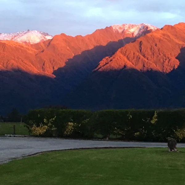 The sunset dazzled the majestic peaks just beyond our motel in Whataroa.