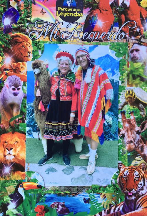 Do not be fooled. We are not in the Andes, and there are very few exotic animals at this zoo! We did see lively monkeys, bored Llamas, crazy birds and one lonely hippo.