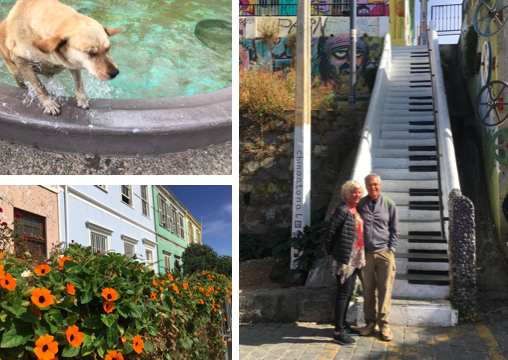 A trip to Valparaiso by bus got us out of the city. The colorful art, houses, happy street dogs and a much better seafood lunch at Fauna made it a great day out.