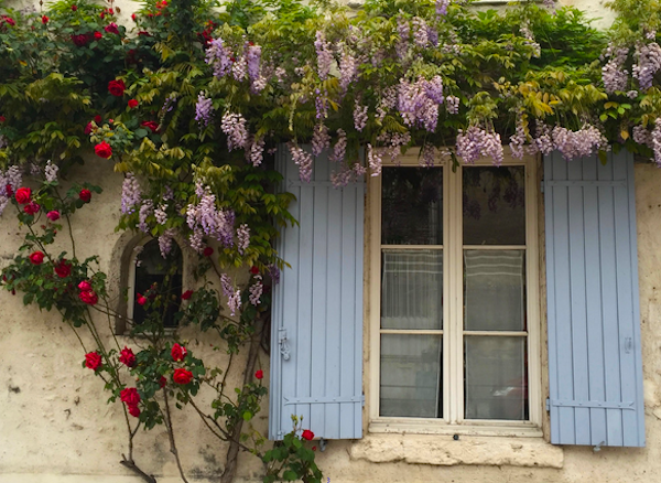 We haven’t been here in Spring time before and if you ever visit this part of France it is the perfect season. Everything is in bloom and wisteria drapes over almost every wall in town.