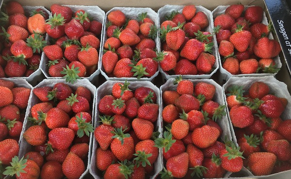 Our Airbnb along with the beautiful beach, and honor stands offering just picked berries was very Hygge.