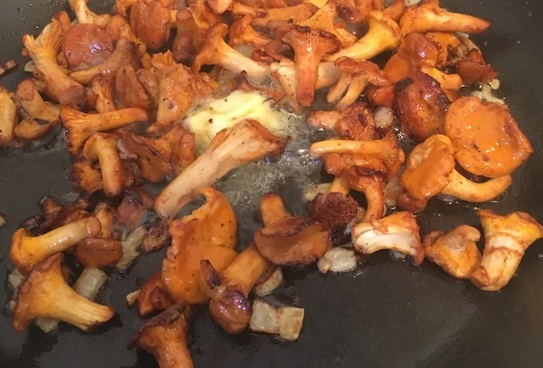 Wild mushrooms were abundant in Germany so I made one of my favorite dishes - buttery Chanterelles on garlic toast.