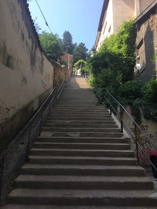 Just one of the many stairways it took to reach the top of Croix-Rousse hill where we lived.