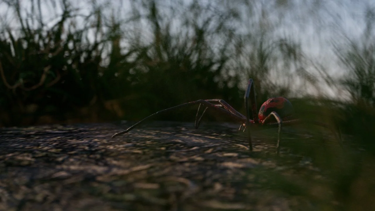 Brand CGI Content | $7.5k-$12k