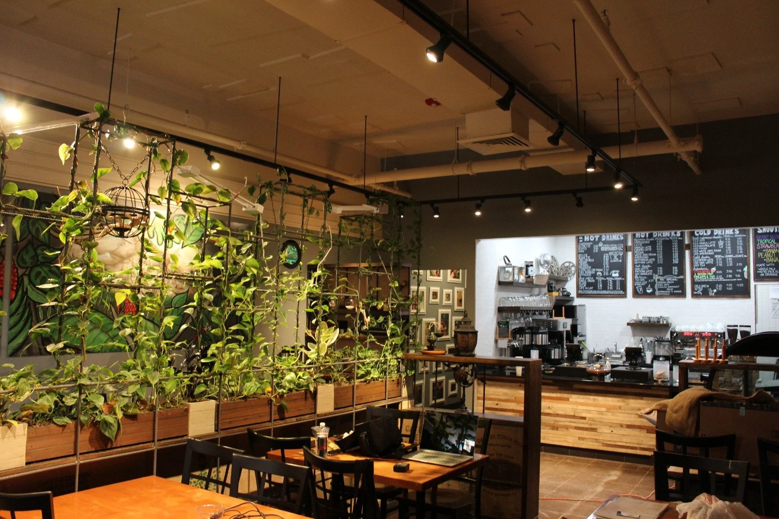 WhatsApp Image 2023-03-24 at 09.18.10 (1).jpeg