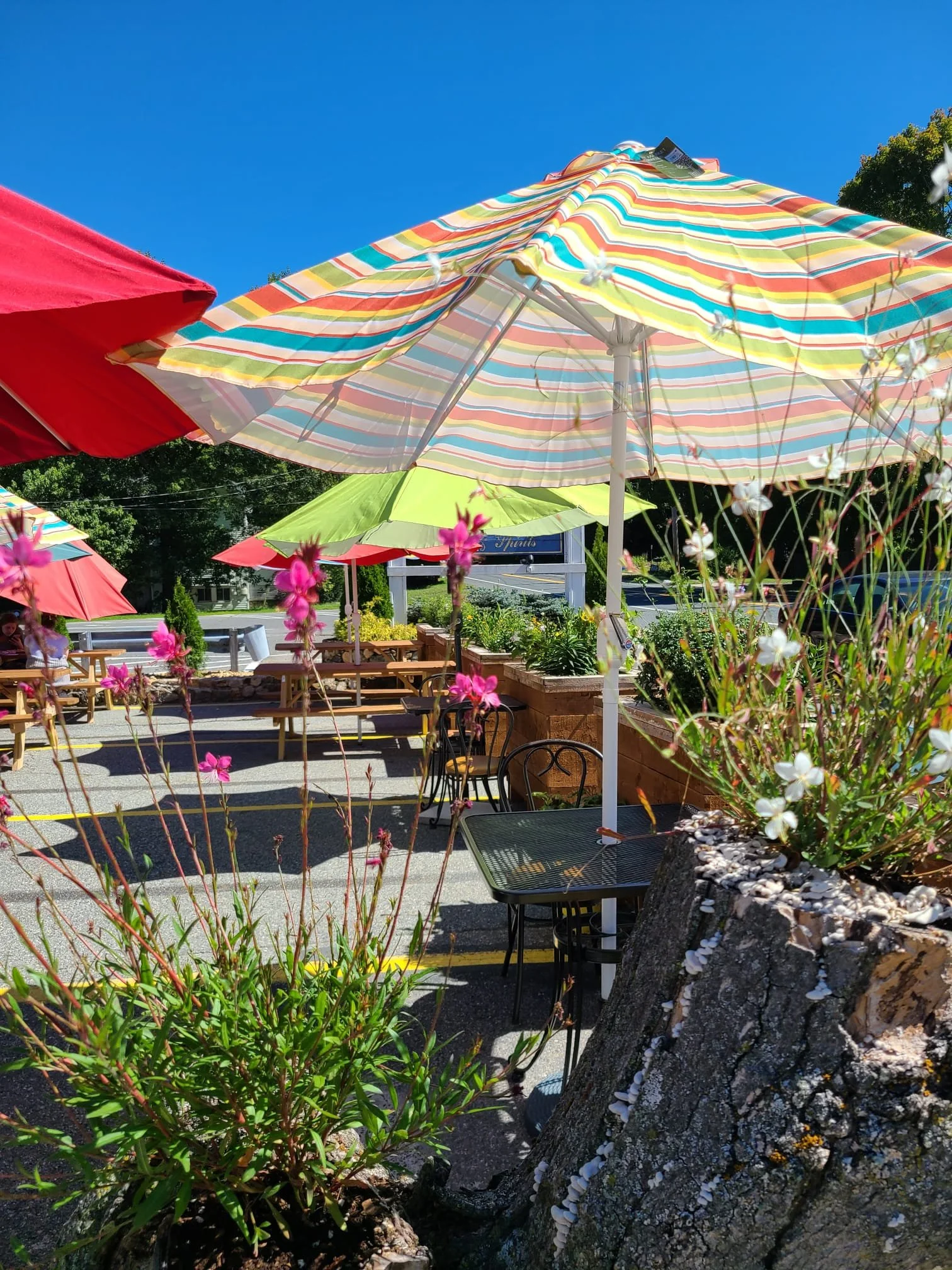 WhatsApp Image 2023-03-29 at 15.04.47.jpeg