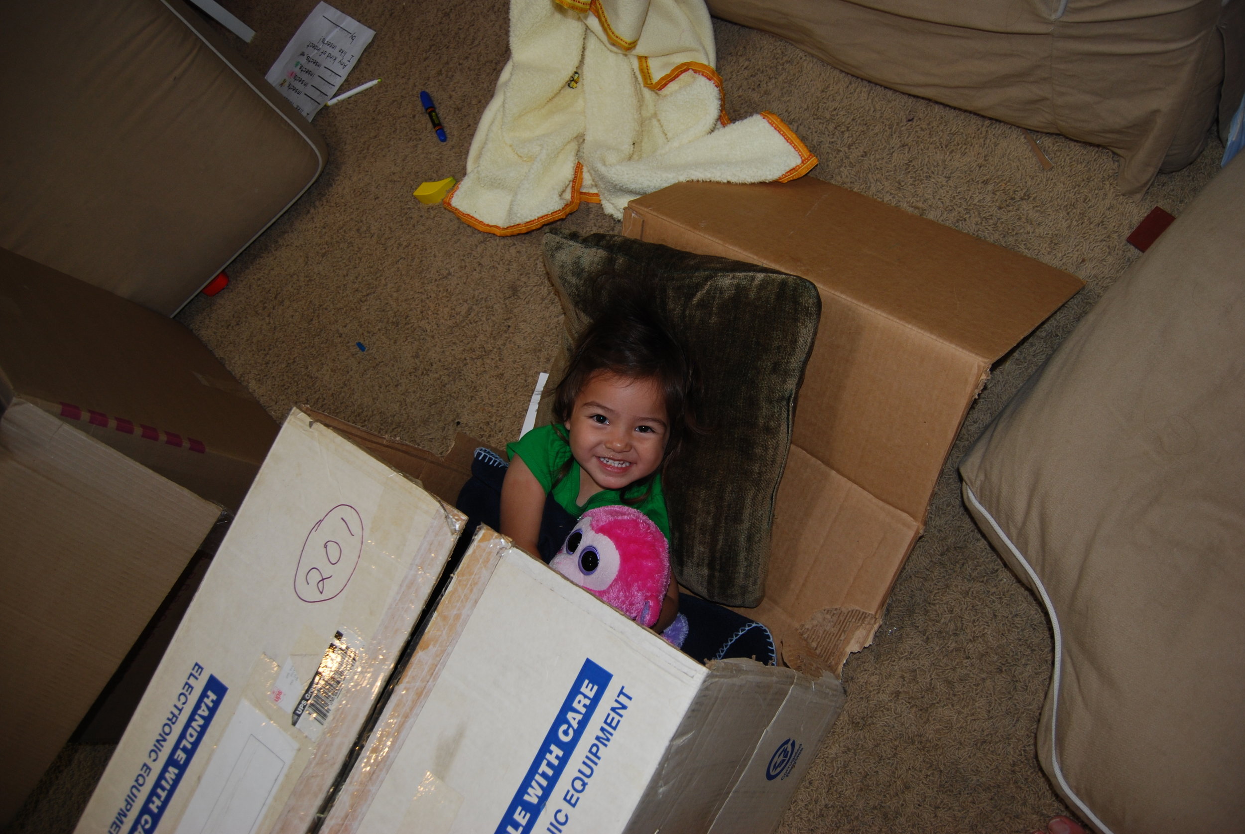 Sleeping bag or small cottage box with Little Lion inside. Posted with permission