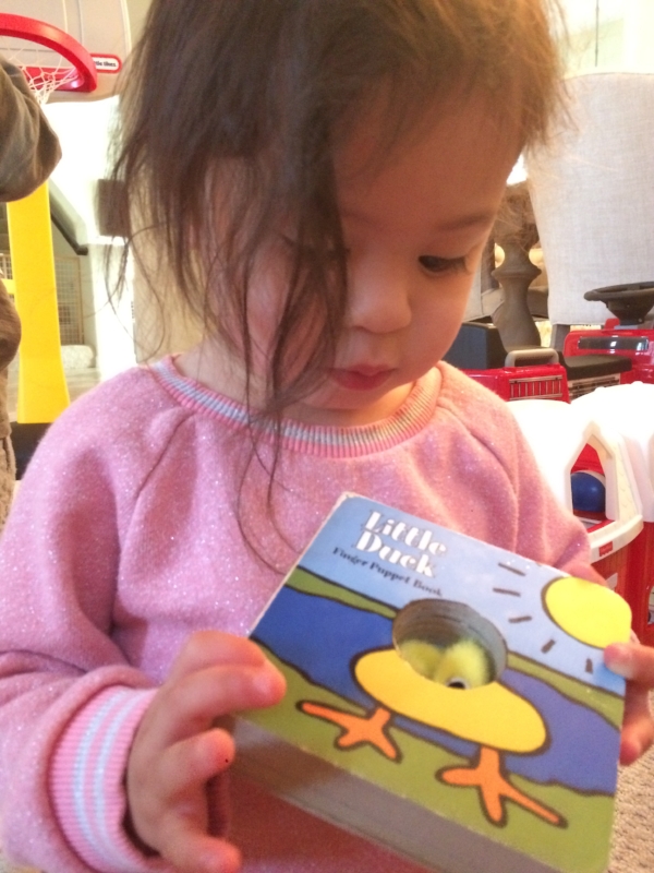 Piggie is playing peek-a-boo with Little Duck, just like I taught her to. Posted with permission.
