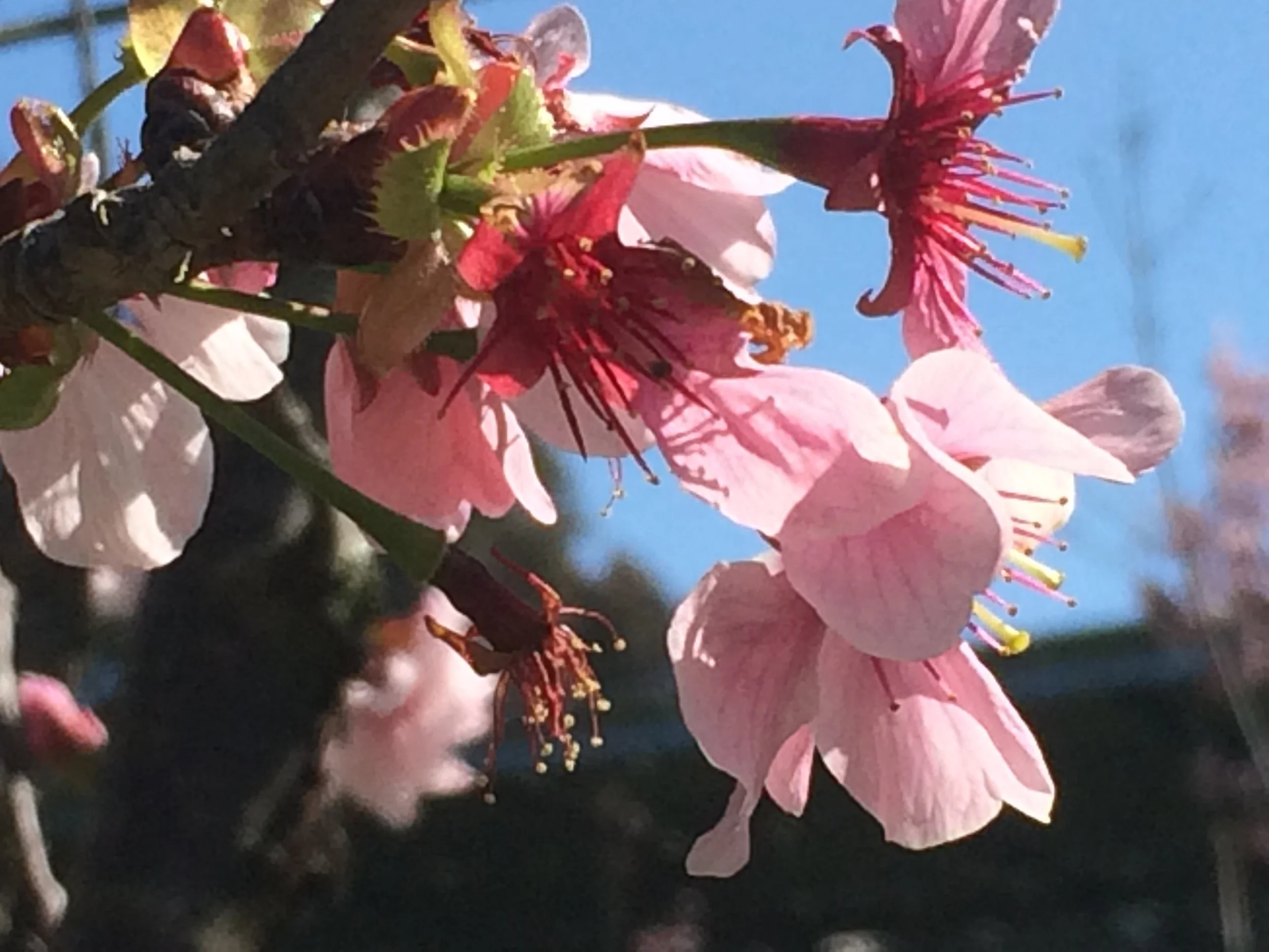 Do writers live forever?