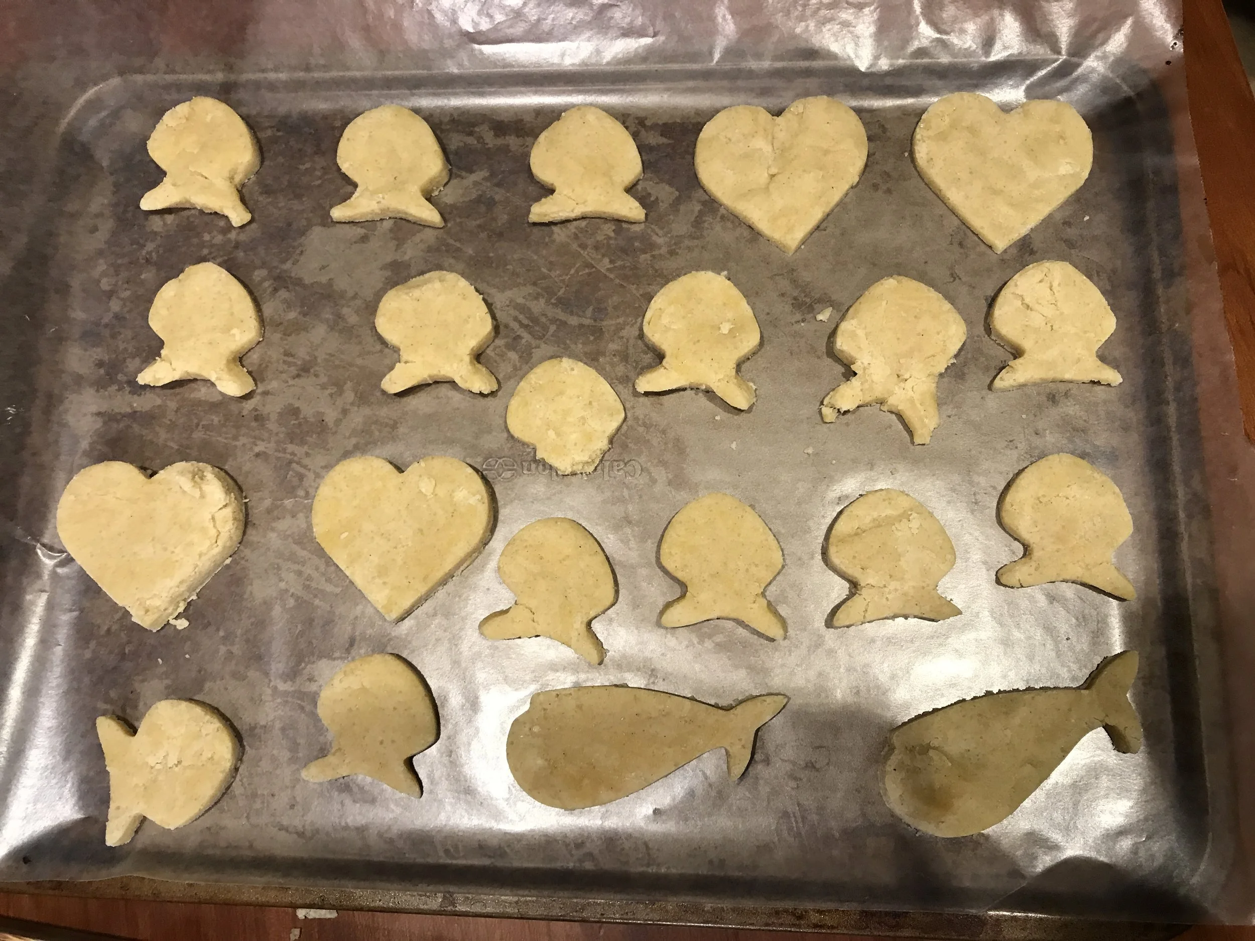 Discovering My Heart